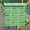 Spiruline Bio en Comprimés 500 mg – Énergie & Immunité Natur’All