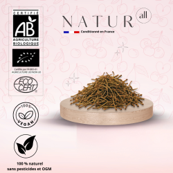 Tisane Queues de Cerise Entières 100 g – Détox Naturelle, Drainage & Minceur | Produit Français