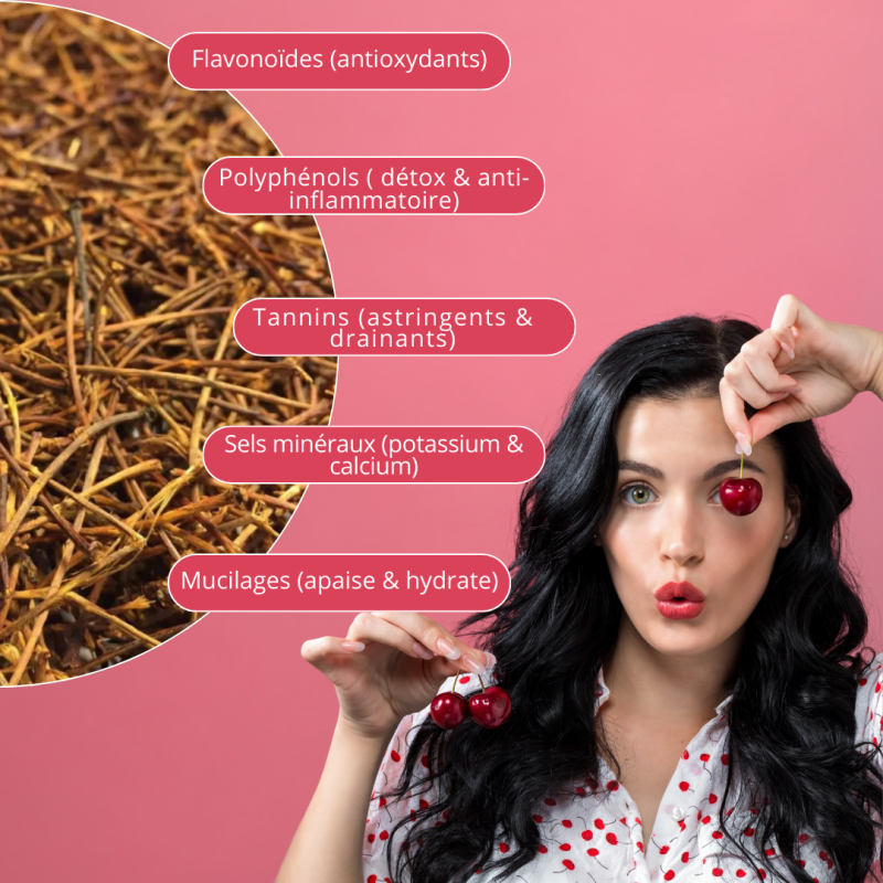 Herbes Du Monde - Tisane Cerise Uitée 100g: Cure Détox