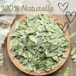 Feuilles de Séné Maki 50grs – Transit & Constipation – Cosm’Ethics® 100 % Naturel